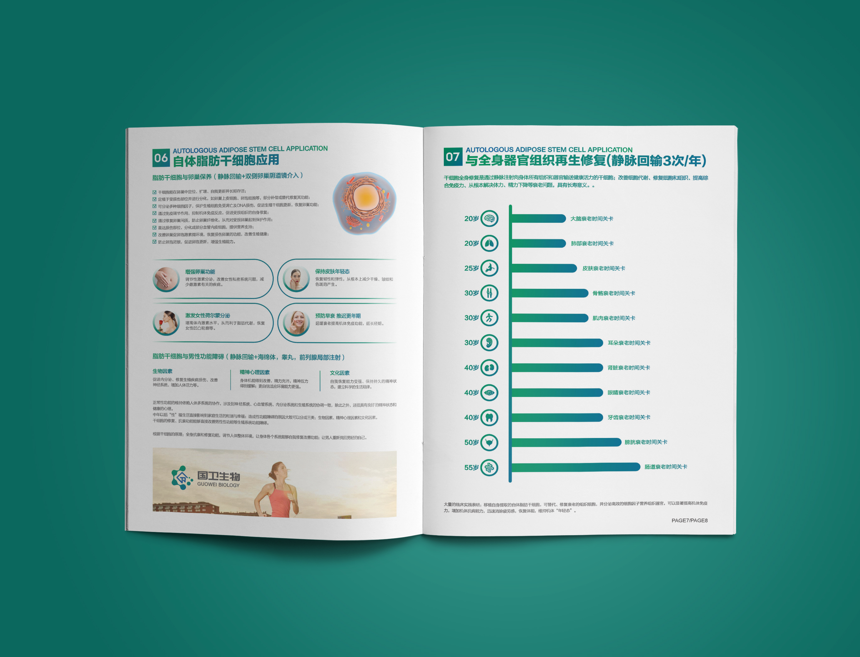 國衛(wèi)細胞基因宣傳冊設(shè)計