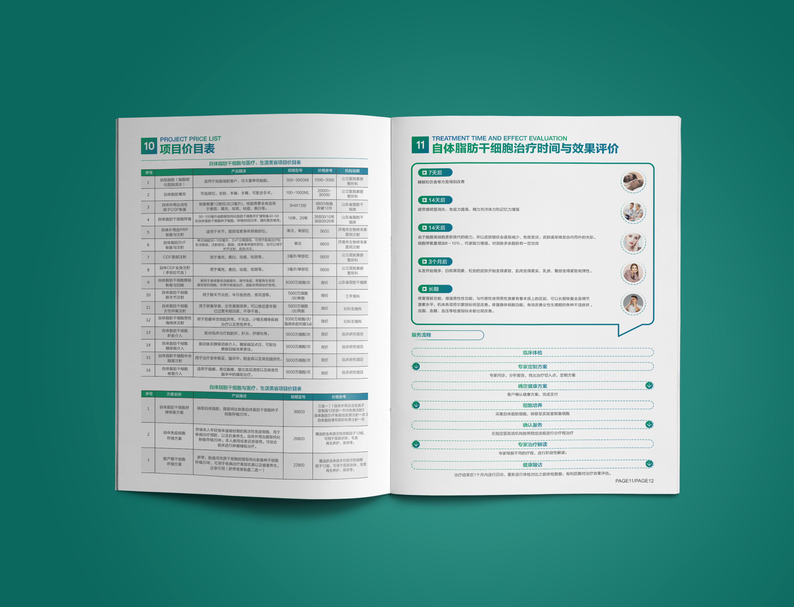 國衛(wèi)細胞基因宣傳冊設(shè)計