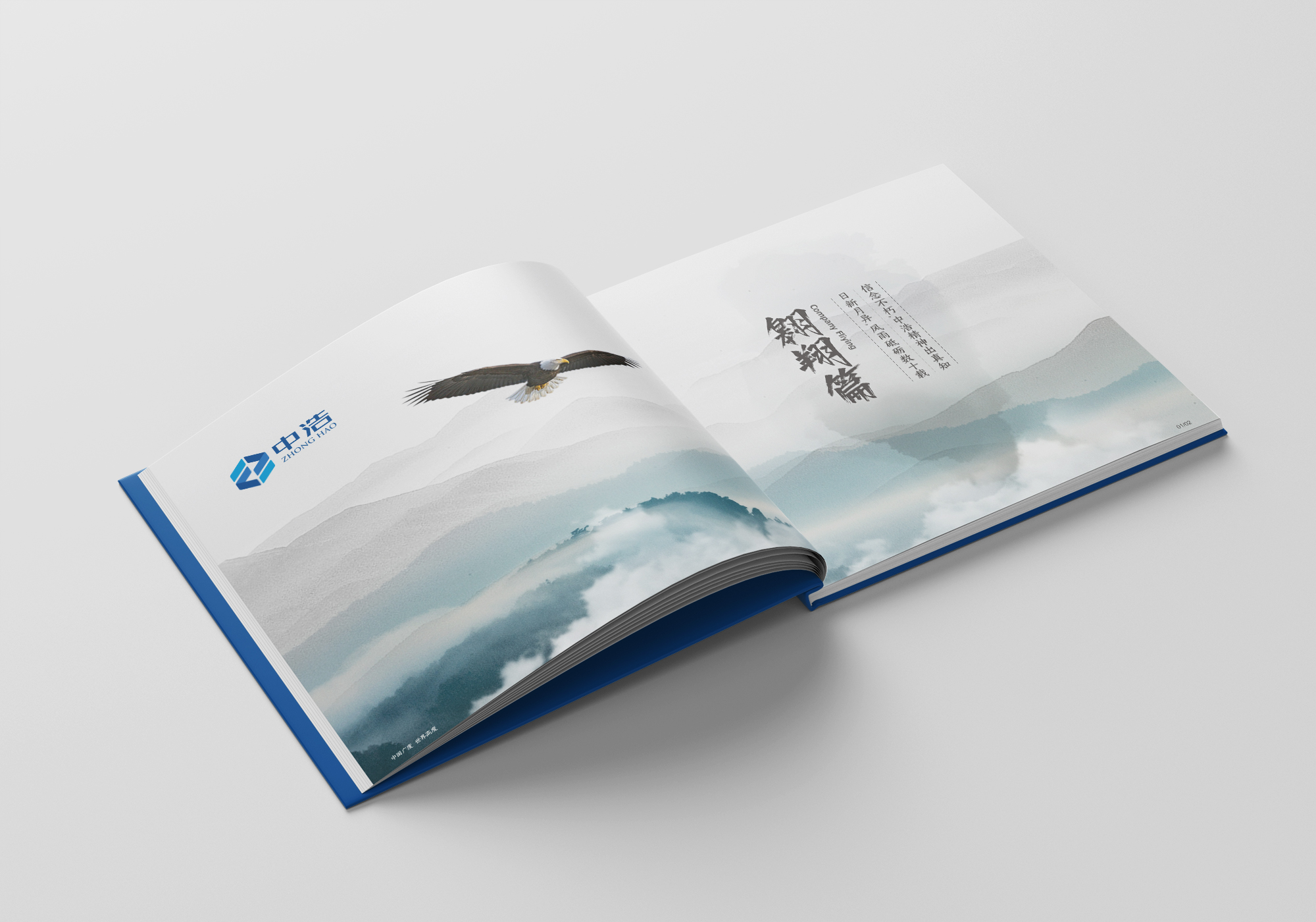 中浩地產(chǎn)畫(huà)冊(cè)設(shè)計(jì)